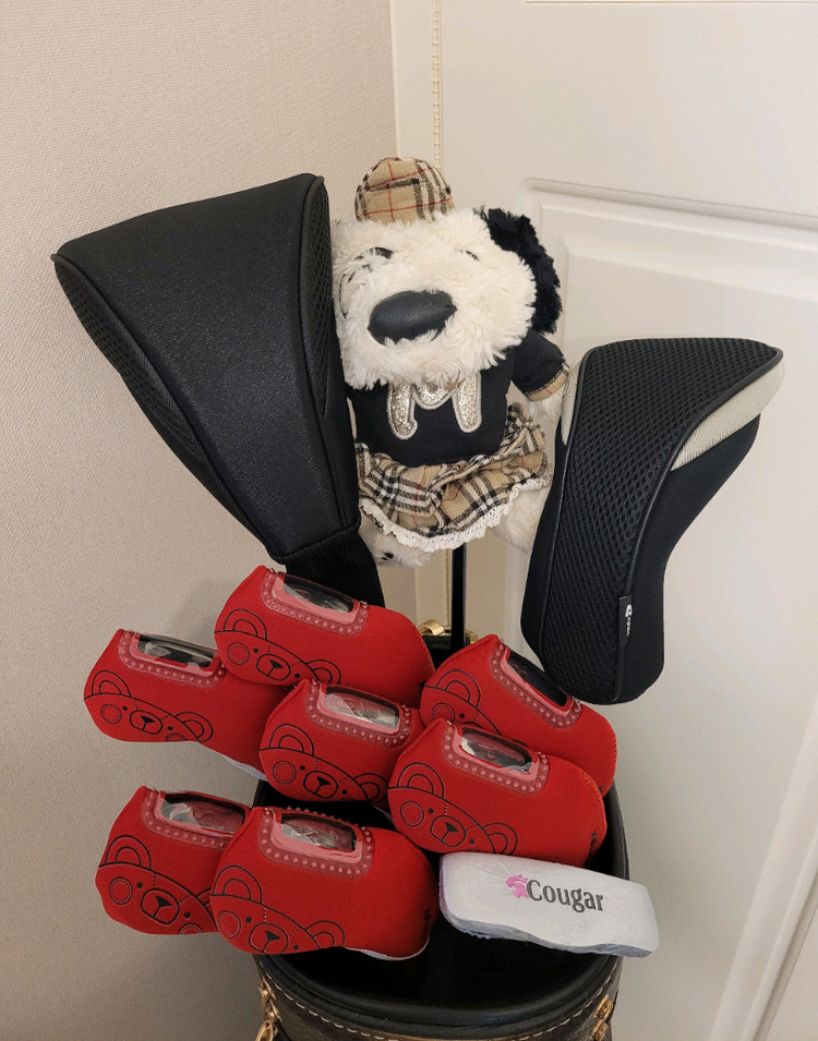 + 마루망 + 여성용 골프채 풀세트 이미지