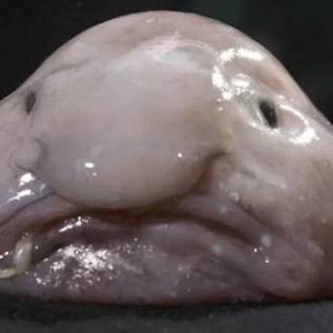 발로란트 21 챔셋 기부해주세요 이미지