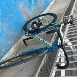 콘스탄틴 디스페랄 2022 네고가능 이미지