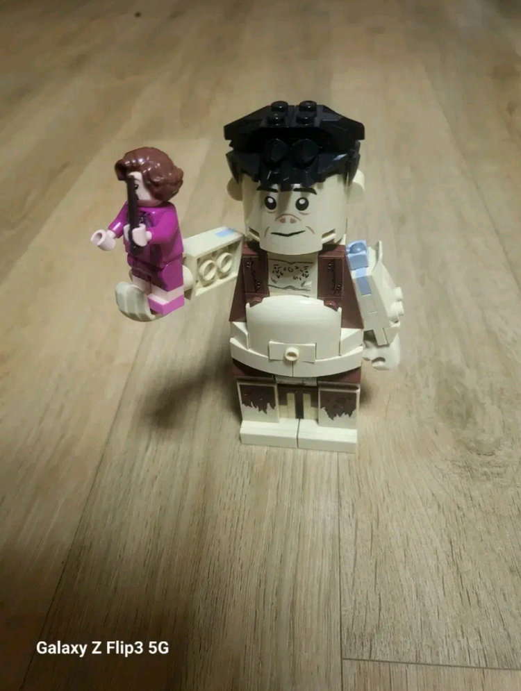 레고해리포터 금단의숲 75967 이미지