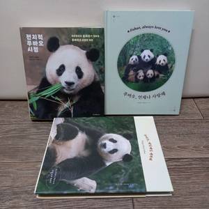 푸바오 포토에세이 3권_택포2만원(정가65000원) 이미지