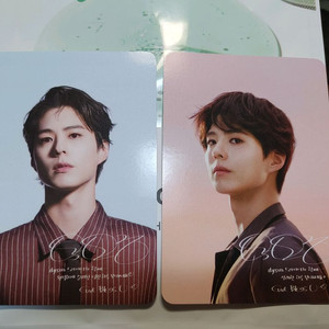 다이슨 박보검 아티스트 굿즈 포토카드 세트 이미지