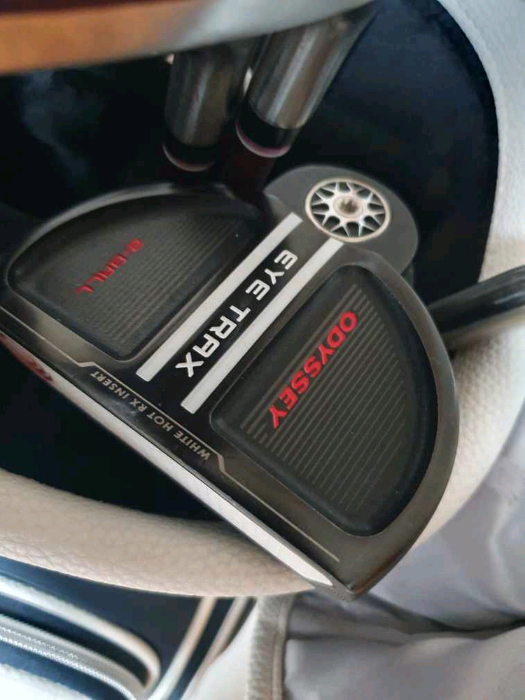 여성젝시오 골프채 1200k 정품 풀세트 팝니다 이미지