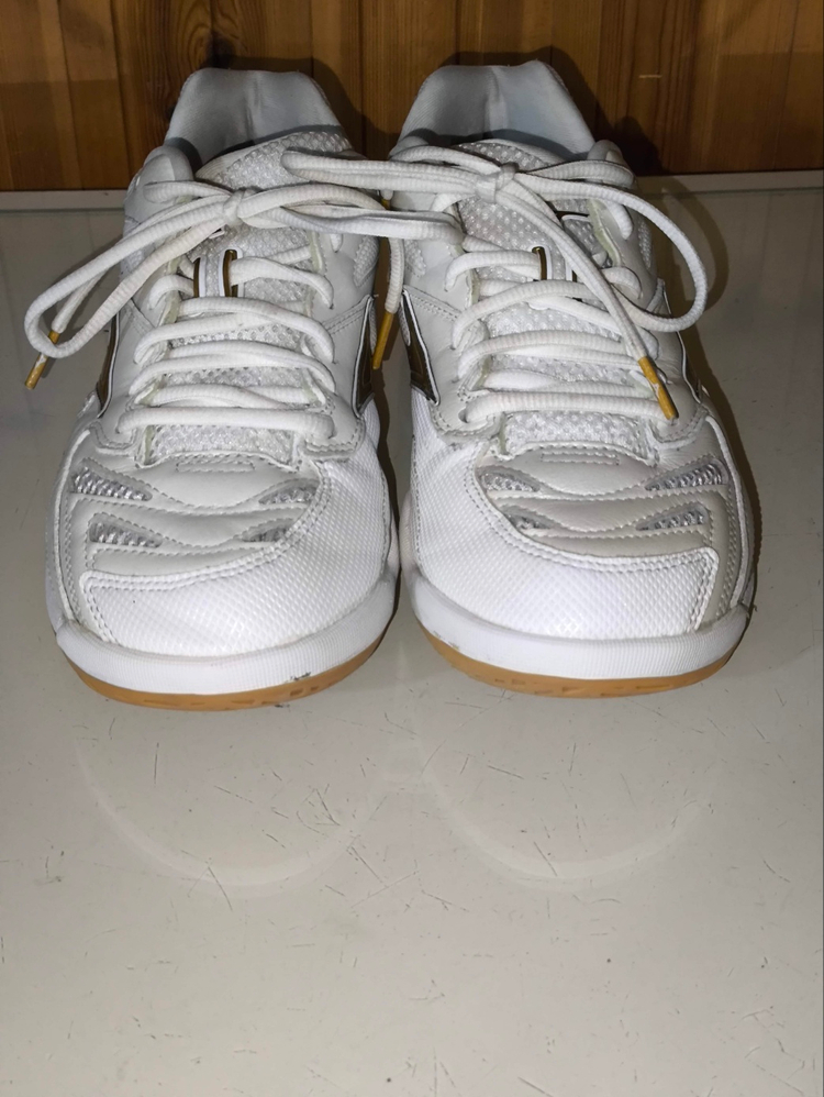 260mm 미즈노 웨이브팡 프로 화이트골드 배드민턴화 j4125 이미지