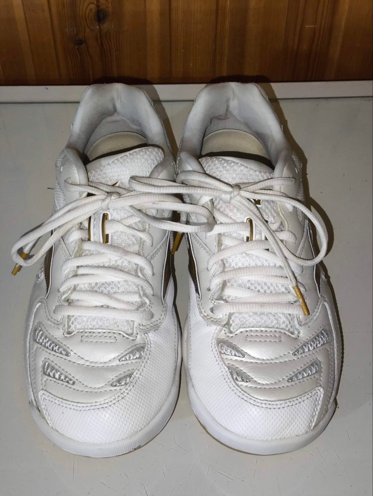 260mm 미즈노 웨이브팡 프로 화이트골드 배드민턴화 j4125 이미지