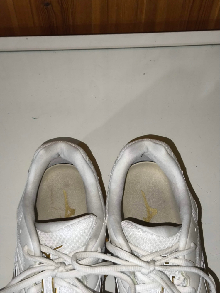 260mm 미즈노 웨이브팡 프로 화이트골드 배드민턴화 j4125 이미지