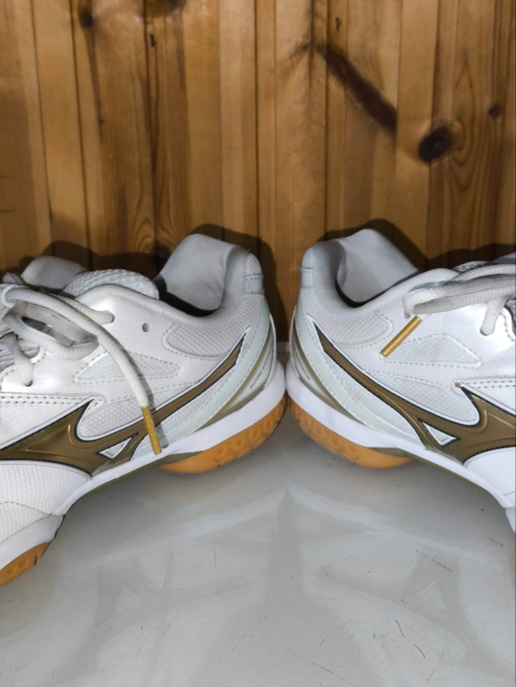 260mm 미즈노 웨이브팡 프로 화이트골드 배드민턴화 j4125 이미지