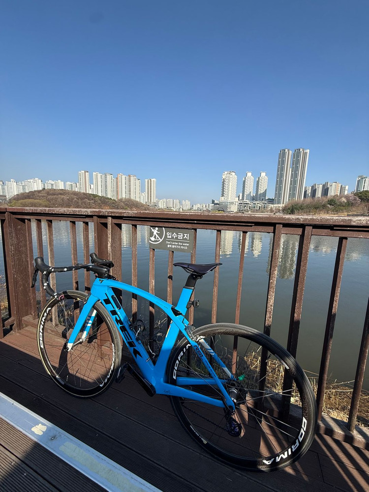 마돈 프로젝트 원 RSL + 코리마 휠 이미지