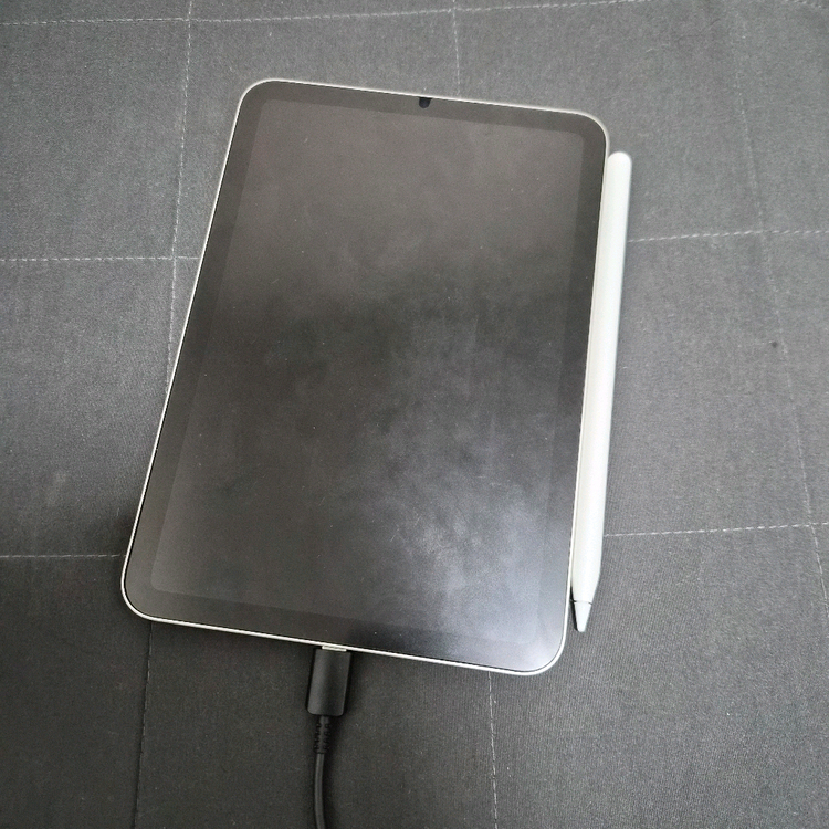 아이패드 미니6세대 256기가 + 애플펜슬 2세대 이미지