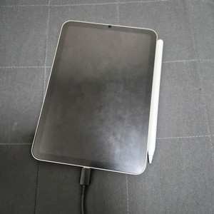 아이패드 미니6세대 256기가 + 애플펜슬 2세대 이미지