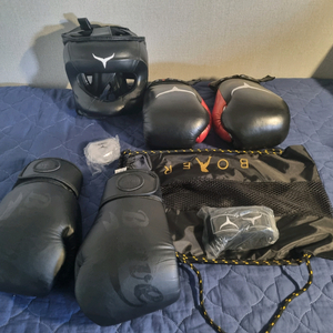 복싱 글러브 헤드기어 세트 이미지