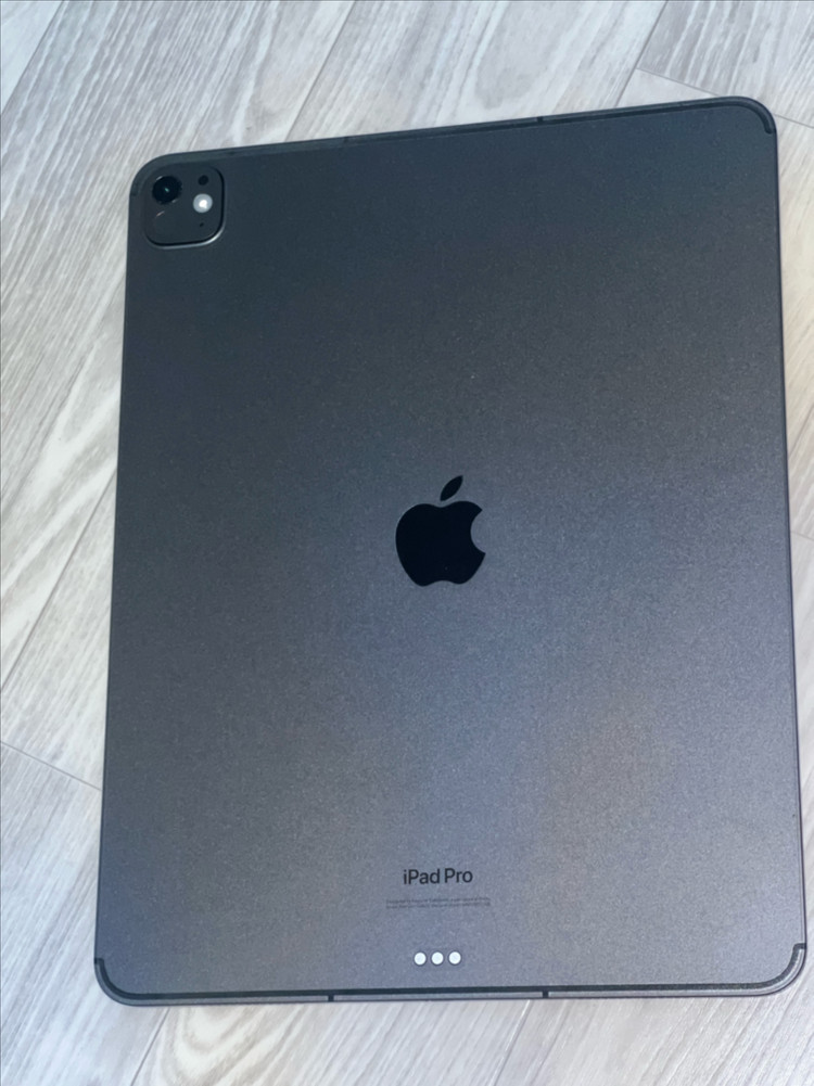 아이패드 프로 13 M4 1TB 셀룰러 나노텍스처 풀박스 이미지