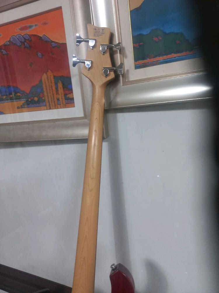 데임 폴앤폴 250베이스기타 이미지