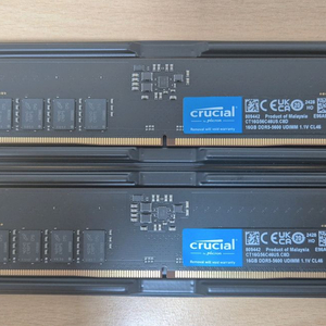 마이크론 크루셜 DDR5 32GB ( 16GB x2) 5600MHz 이미지