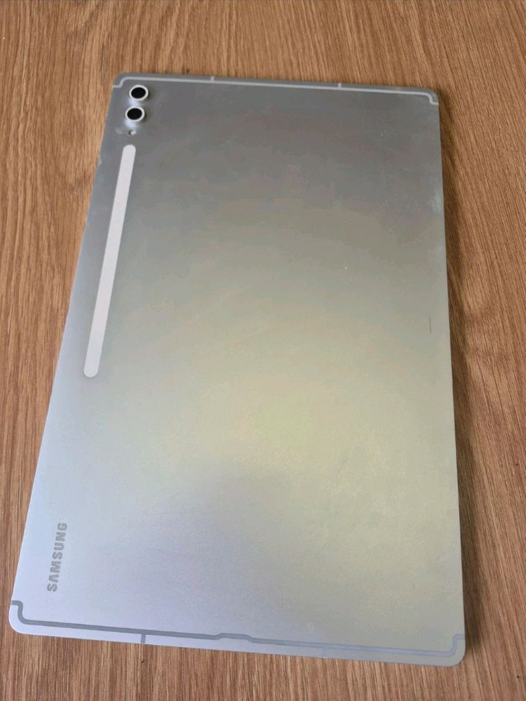 삼성 갤럭시탭 S10 울트라 256g 실버 wifi 이미지
