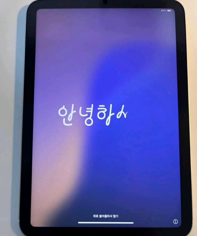 아이패드 미니 7세대 셀룰러 128GB 스타라이트 이미지