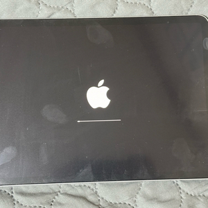 아이패드 프로 11 4세대 (M2) 256GB 판매합니다. 이미지