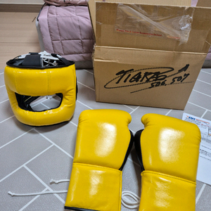 티그라오 아디쇼리 복싱 글러브 헤드기어 세트 오늘만 100 이미지