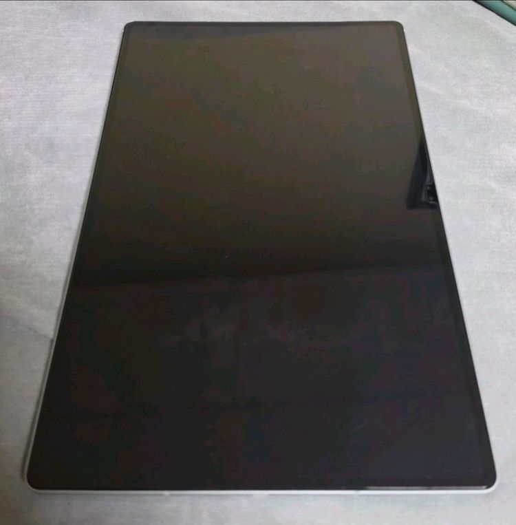 삼성 갤럭시 탭 S10 울트라 실버 256GB 이미지
