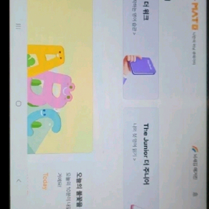 뇌새김. 학습 이미지