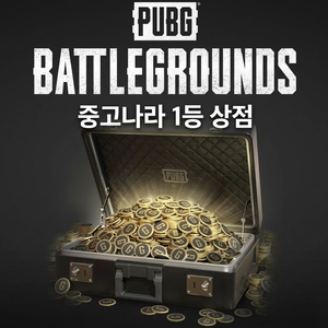 배그 11200g정품코드 코인 특가판매 이미지