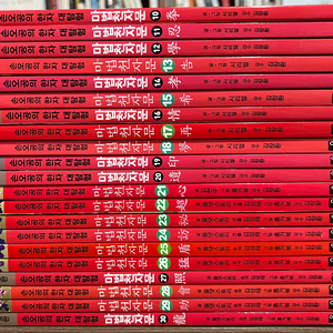 마법천자문 10~30 (총21권) 이미지