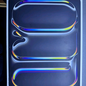 아이패드 프로 13 M5 WIFI 1TB (1테라) 이미지