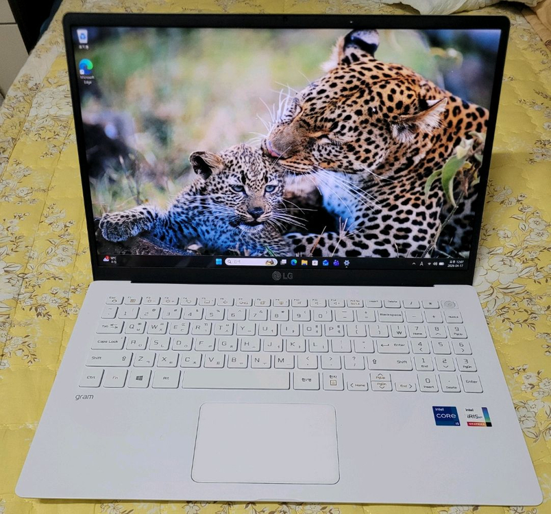 LG그램 15Z95N-GP50ML 11세대 이미지