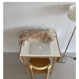 라이크노아 폴딩 테이블 (S) 이미지