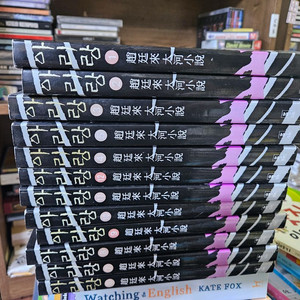 조정래 소설 아리랑 12권 이미지