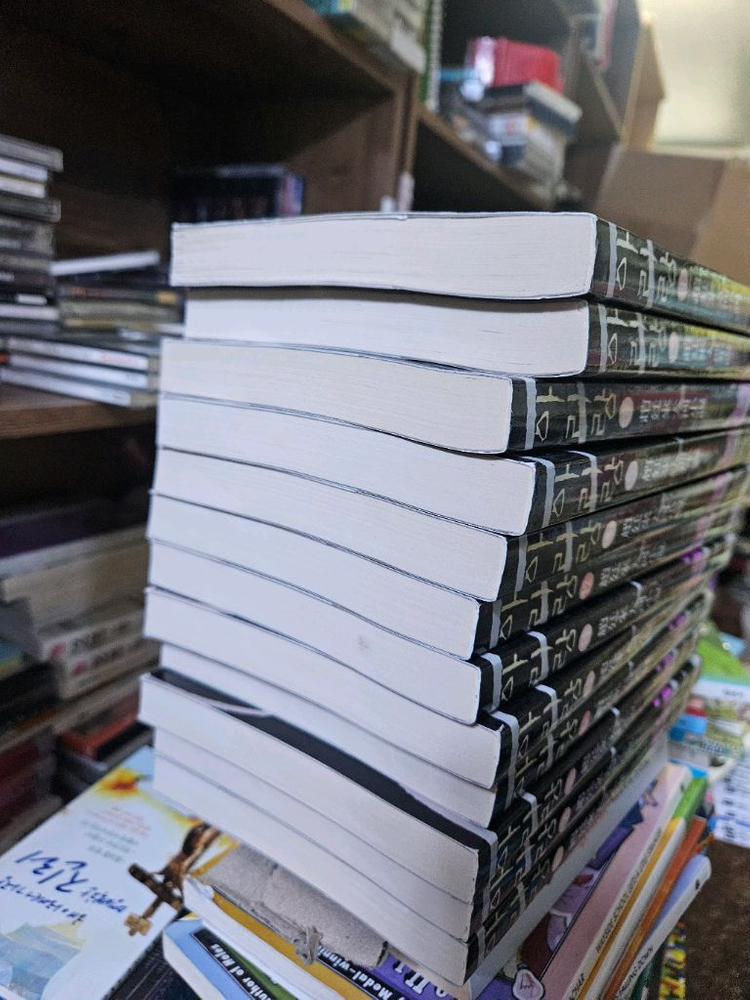 조정래 소설 아리랑 12권 이미지