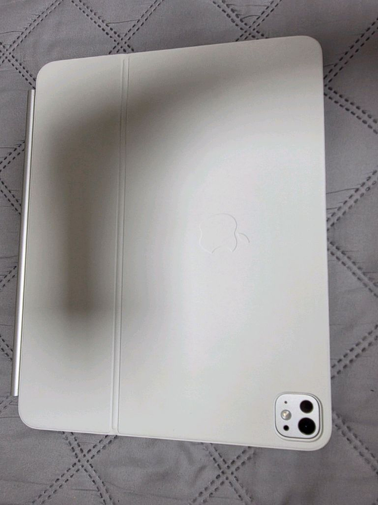 Apple iPad Pro 13 (M4) 1TB Wi-Fi + Cellular 애케플 매직키보드 애플펜슬 포함 이미지