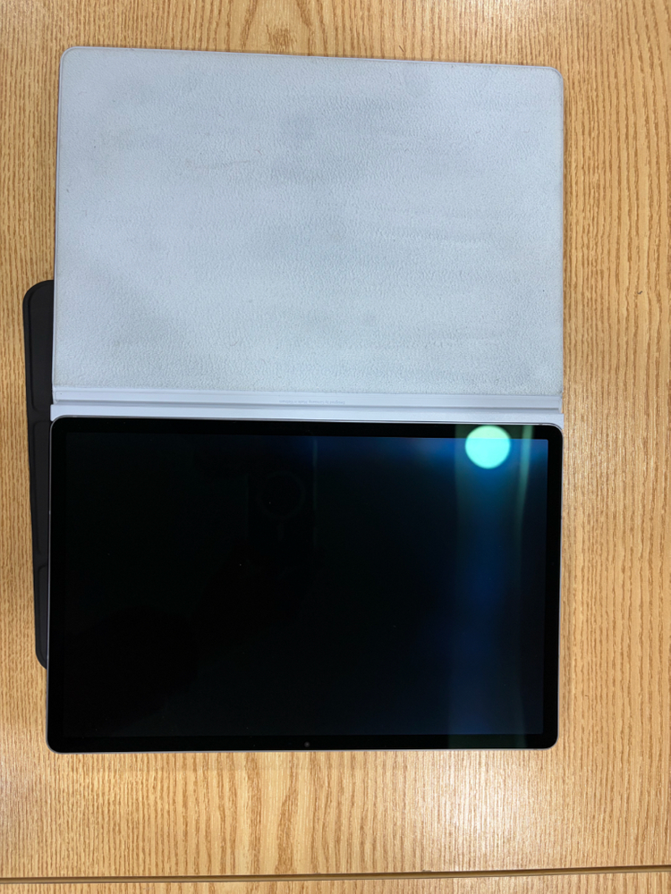 삼성 갤럭시탭 s10 플러스 문스톤 그레이 256 wifi 이미지