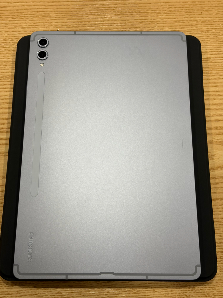 삼성 갤럭시탭 s10 플러스 문스톤 그레이 256 wifi 이미지