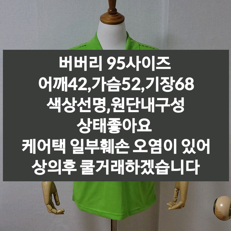 버버리 반팔티셔츠 이미지