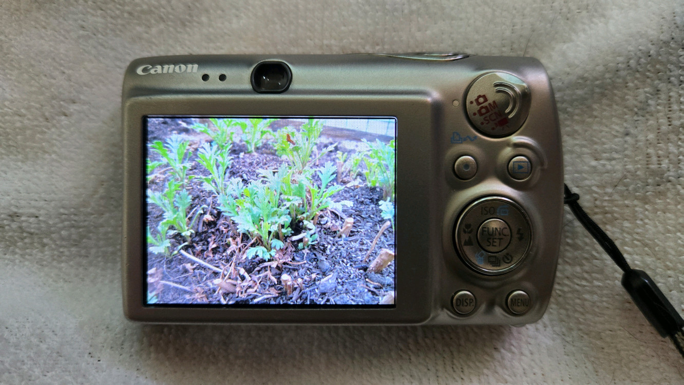 캐논 익서스 IXUS 960 IS 디지털 카메라 이미지