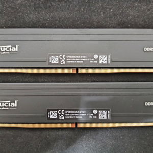 마이크론 Crucial DDR5 PC5-5600 CL46 PRO 대원씨티에스 [96GB (48GB*2)]