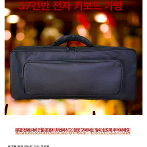[미개봉] 휴대용 37건반 전자 키보드 가방 블랙 54x21x6cm 이미지