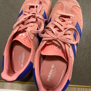 아디다스 가젤 210 키즈 이미지