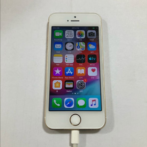 아이폰5s 16GB 샴페인골드 이미지