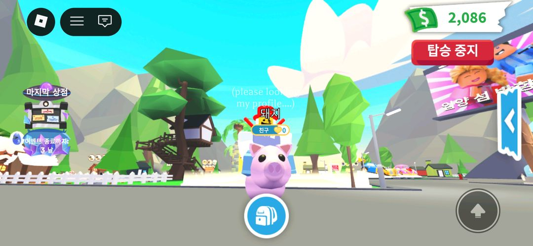 입양하세요 돼지 팝니다!!!! 이미지