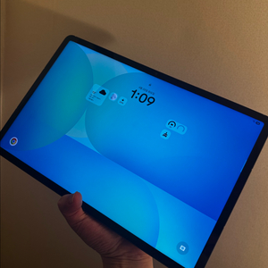 갤럭시탭 s10fe+ 그레이 이미지