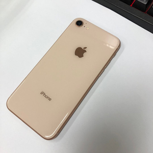 아이폰8 64GB 골드 중고폰 배터리90% 인스타 레트로감성 사진폰 286462 이미지