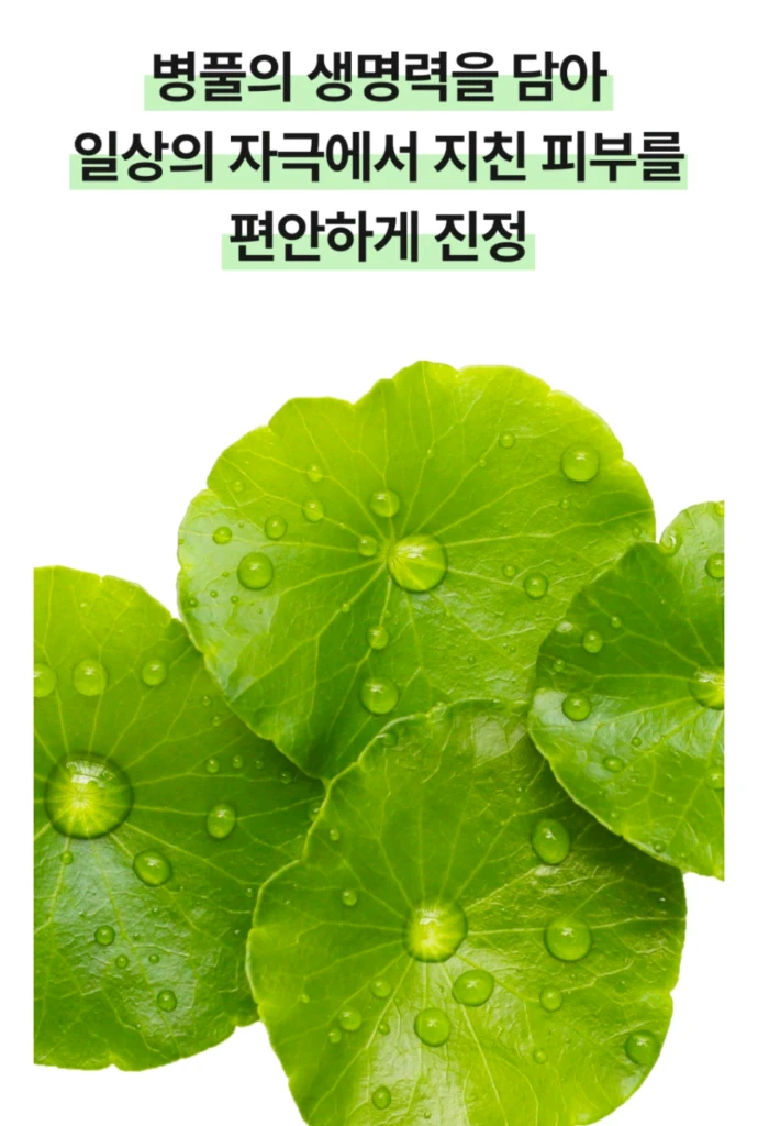 청미정 시카 76 토너 랩 300ml 이미지