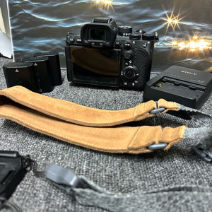 소니 A7R5 + 팔캠 스트랩 이미지