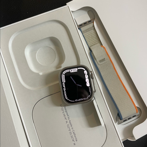 애플워치 울트라2 내추럴 49mm SSS급 이미지