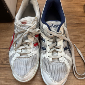 로테리브레 255 이미지