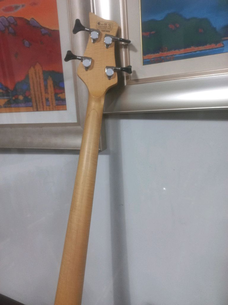 데임 베이스기타 이미지