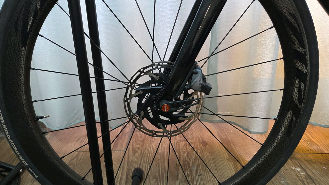 위아위스 와스프로 이미지