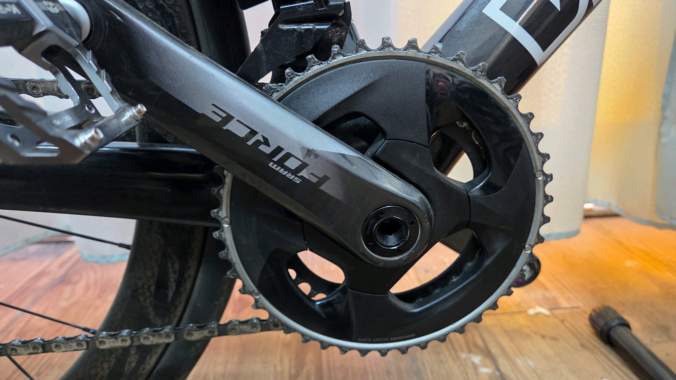 위아위스 와스프로 이미지